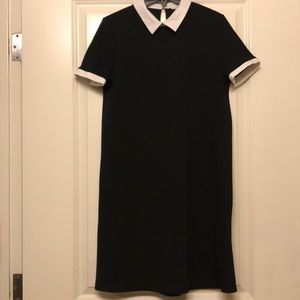 Zara Knit collared dress